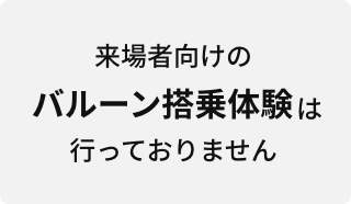 来場者向けのバルーン搭乗体験は行っておりません